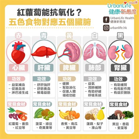 補金食物|【五色食物對照表】紅色補血、黑色補腎？了解5色食。